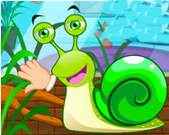 csigs - Snail care